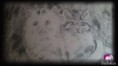/album/laminas/a11022012051-jpg/