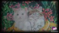 /album/laminas/a11022012050-jpg/