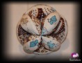 /album/pelotas-bebes/img-7819-p-jpg1/